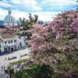 https://files-prod.rcnradio.com/public/styles/284_x_160_wepb/public/2025-09/popayan.jpg.webp